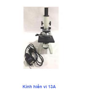 kính hiển vi 13A